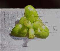  Female flower-Upper view